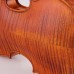 Firefeel S-14844 Violina